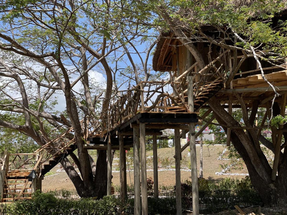 Antonio Beach Tree House Hotel & Spa Uroa Eksteriør bilde